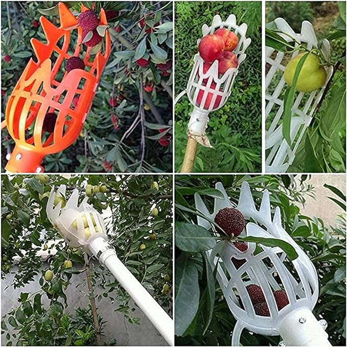 Инструмент за бране на плодове