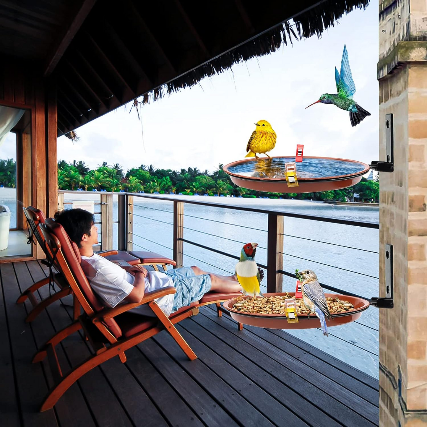 Комплект от 2 табли за птици - идеални за хранене и къпане