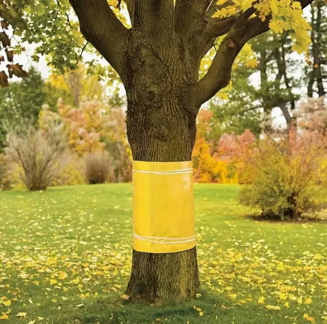 TreeGuard™ – Лепяща лента срещу насекоми и комари
