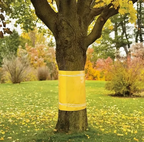 TreeGuard™ – Лепяща лента срещу насекоми и комари