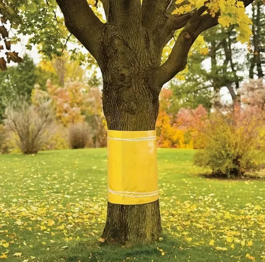 TreeGuard™ – Лепяща лента срещу насекоми и комари