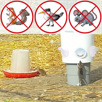 PoultryFeeder™ - Комплект от 5 Устия за Хранене на Птици